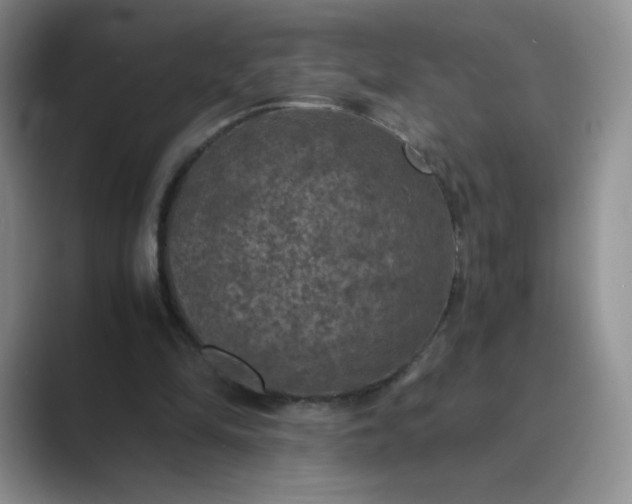 X0000089690294200707051630