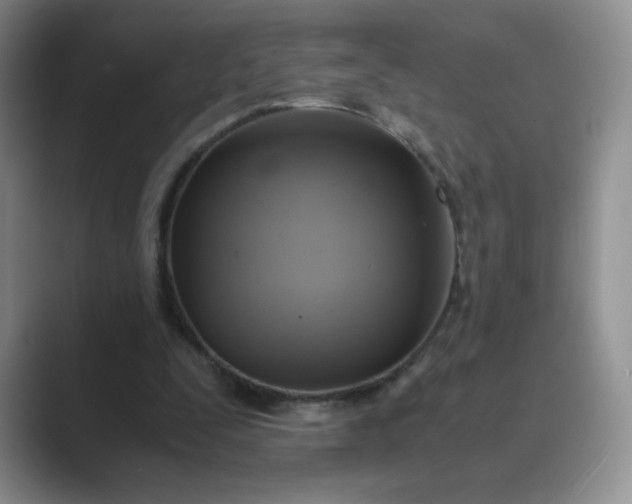 X0000089690295200707051630