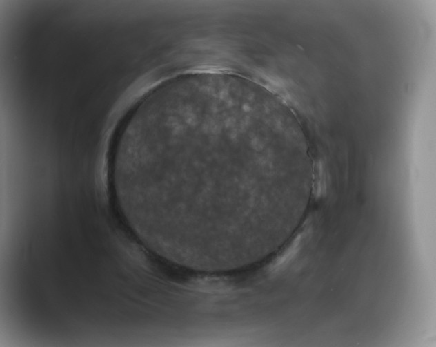 X0000089690296200707051630