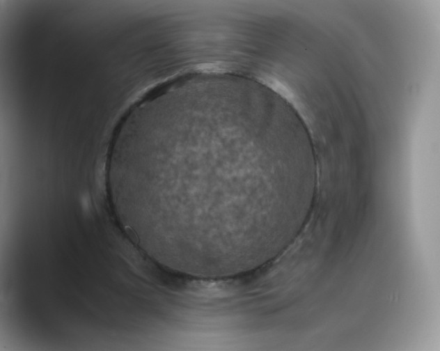 X0000089690297200707051630