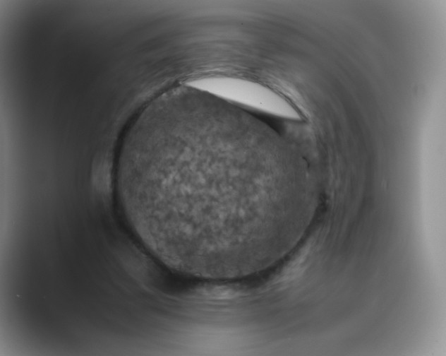 X0000089690299200707051630