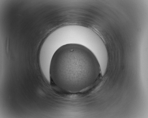 X0000089690301200707051630