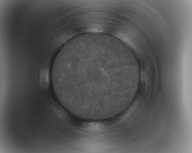 X0000089690302200707051630