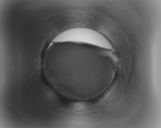 X0000089690303200707051630