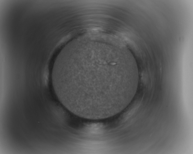 X0000089690304200707051630