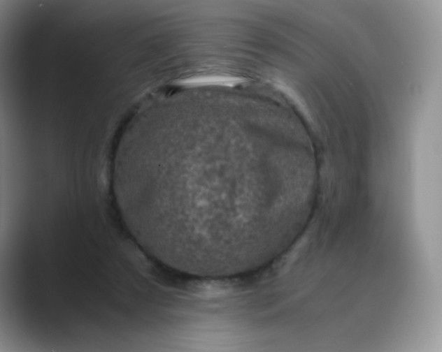 X0000089690305200707051630