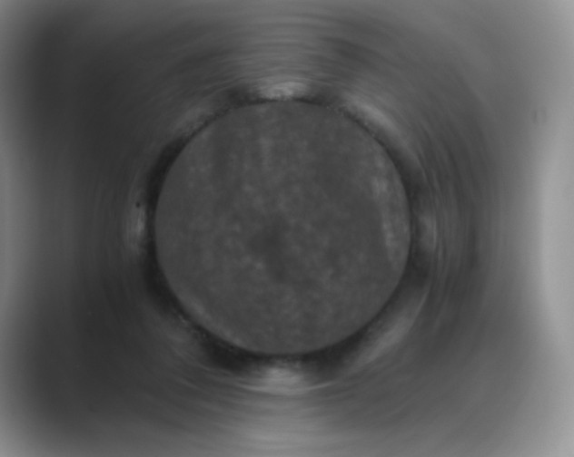 X0000089690308200707051630