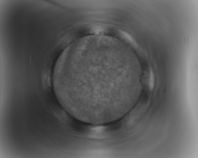 X0000089690313200707051630