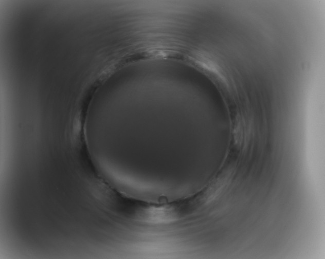 X0000089690314200707051629