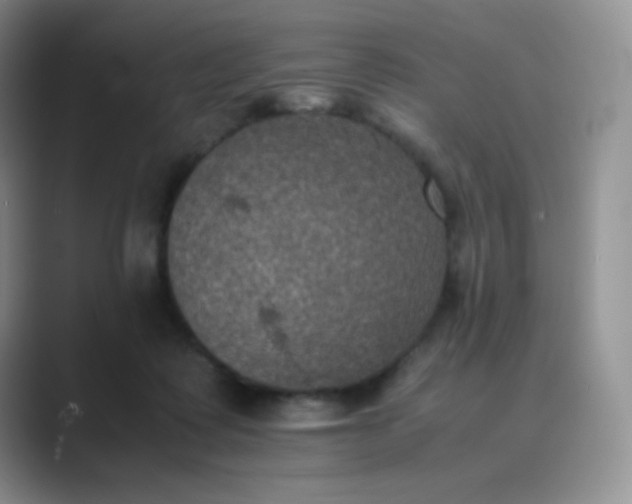 X0000089690315200707051629