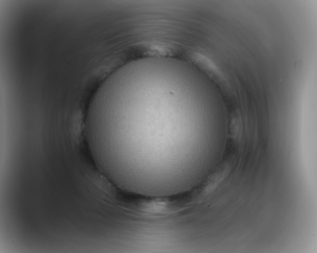 X0000089690318200707051629