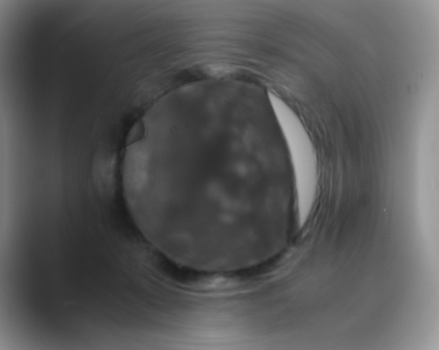 X0000089690319200707051629