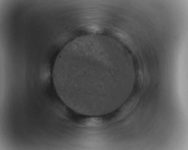 X0000089690320200707051629