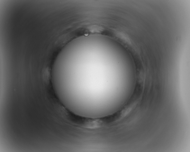 X0000089690321200707051629