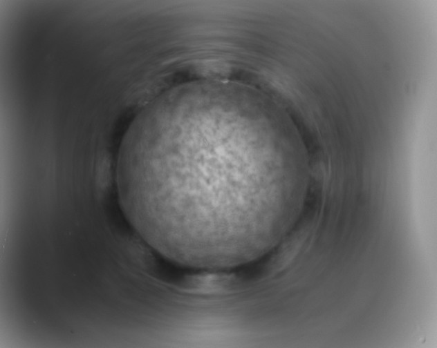 X0000089690323200707051629