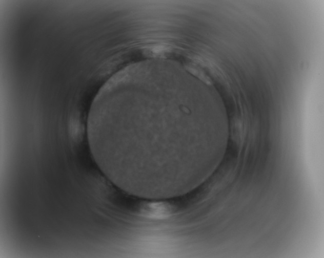 X0000089690324200707051629