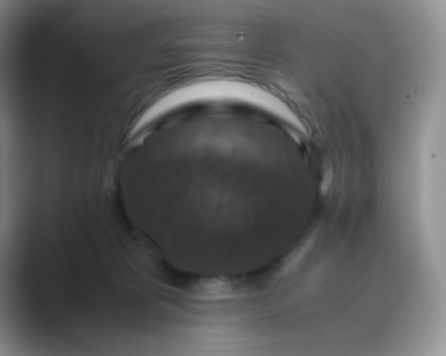 X0000089690325200707051629