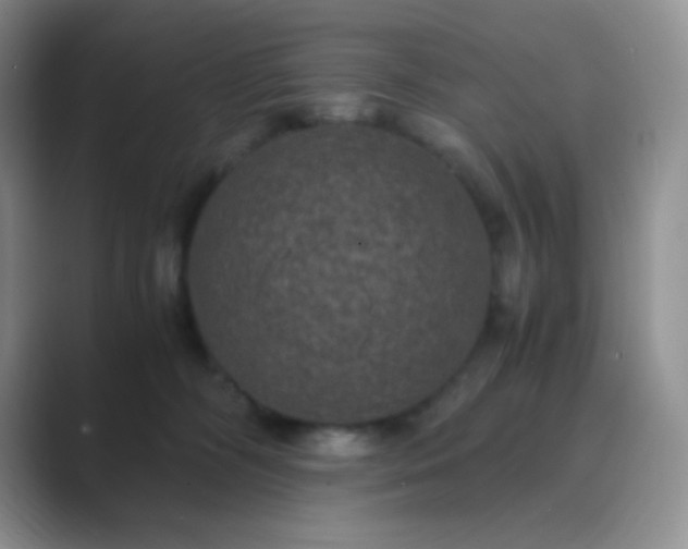 X0000089690326200707051629