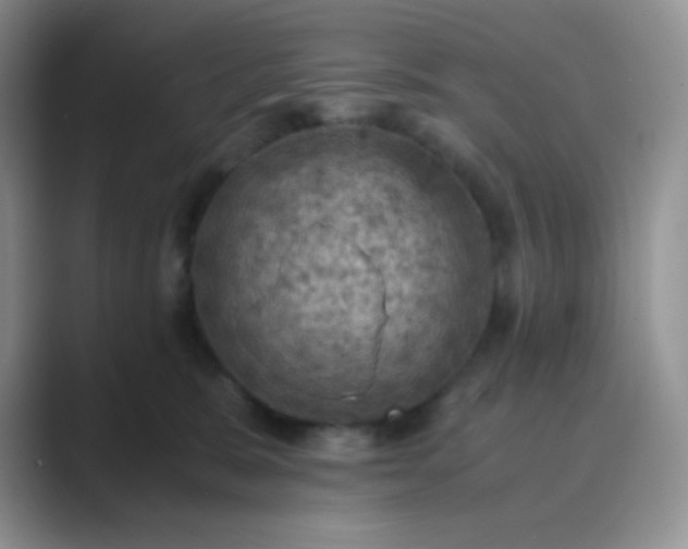 X0000089690327200707051629