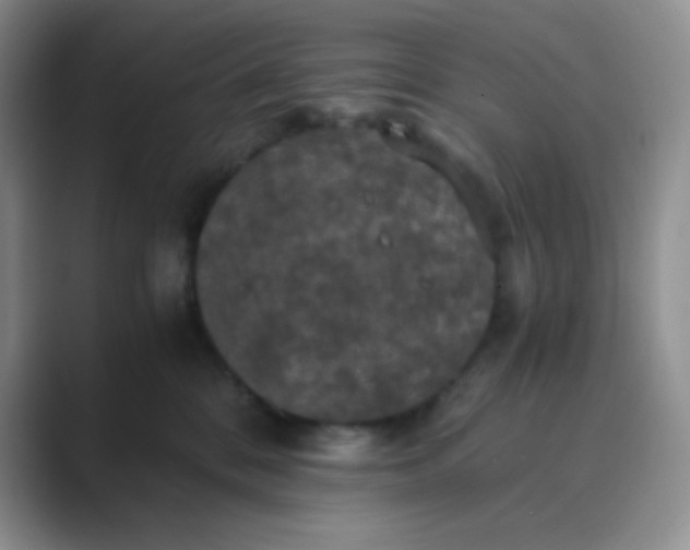 X0000089690328200707051629