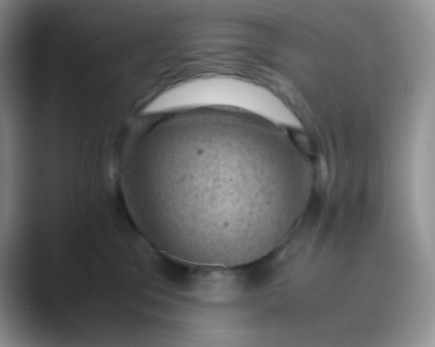 X0000089690329200707051629