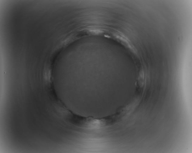 X0000089690330200707051629