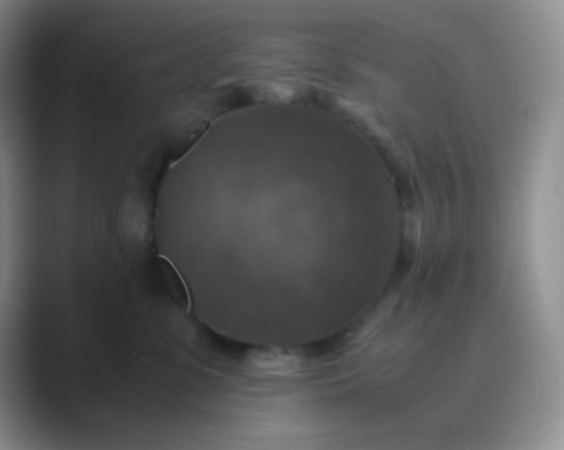 X0000089690331200707051629