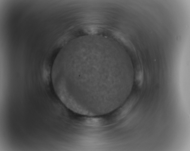 X0000089690332200707051629