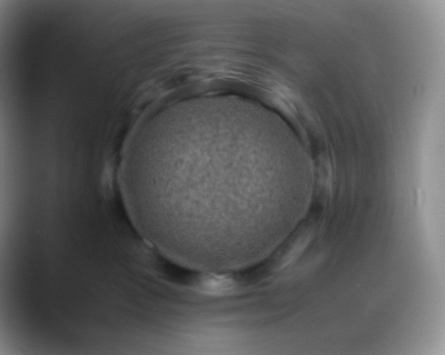 X0000089690333200707051629