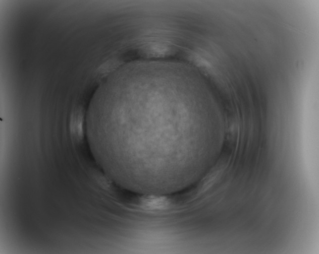 X0000089690334200707051629