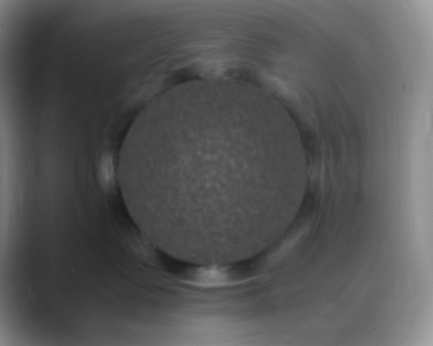 X0000089690335200707051629