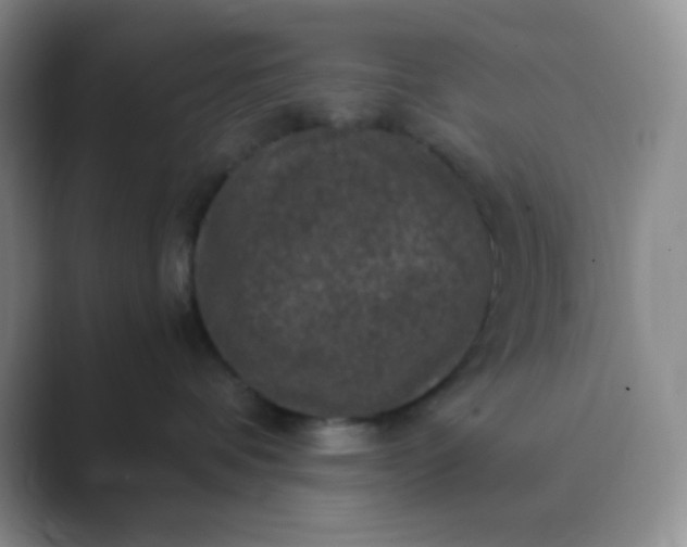 X0000089690336200707051629