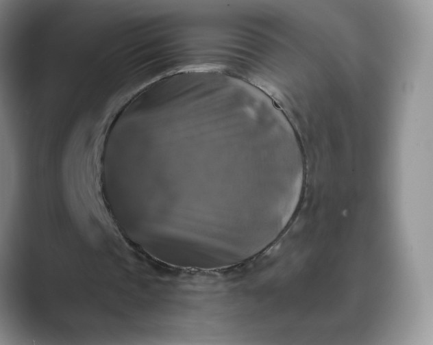 X0000089690337200707051629