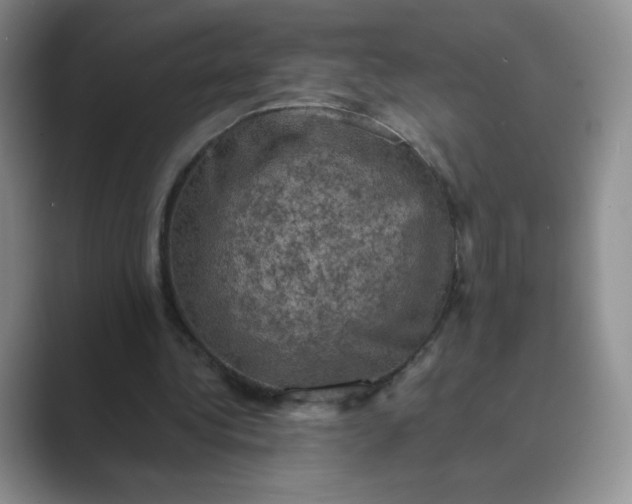 X0000089690340200707051629