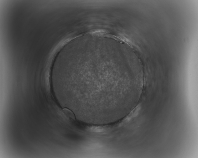 X0000089690341200707051629