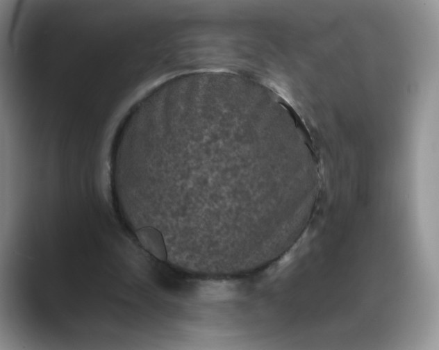 X0000089690342200707051629