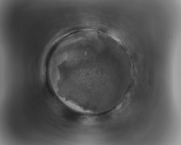 X0000089690343200707051629