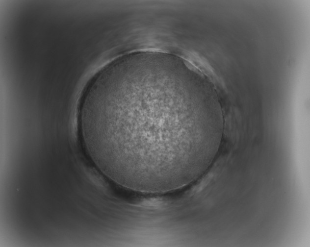 X0000089690344200707051629