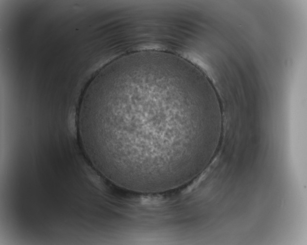 X0000089690345200707051629