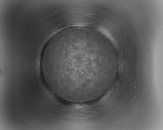 X0000089690346200707051629