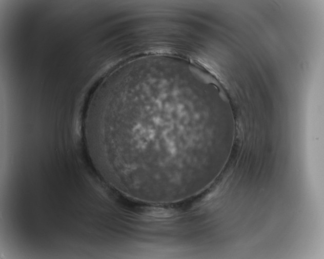 X0000089690347200707051629