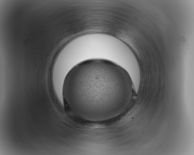 X0000089690348200707051629