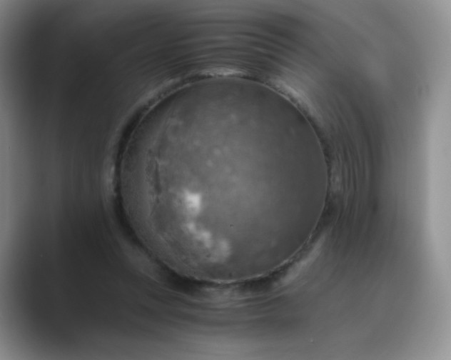 X0000089690351200707051629