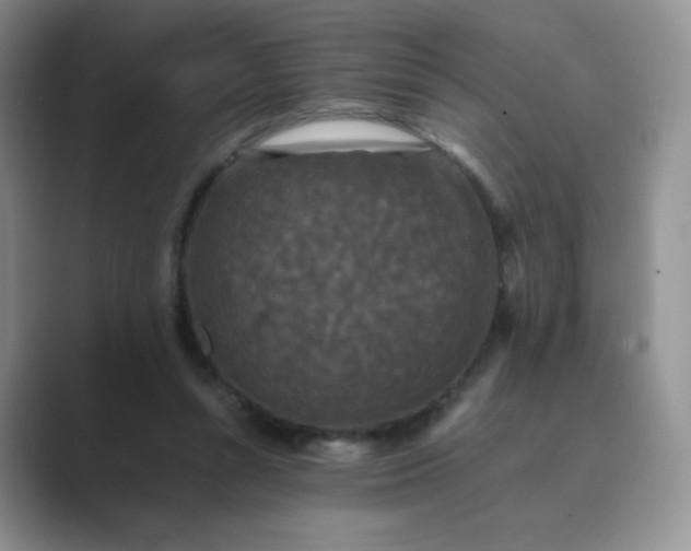 X0000089690352200707051629