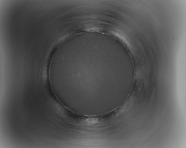 X0000089690353200707051629