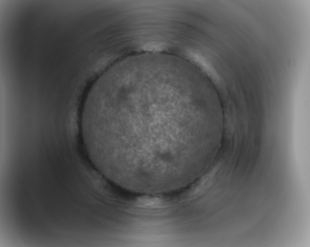 X0000089690354200707051629