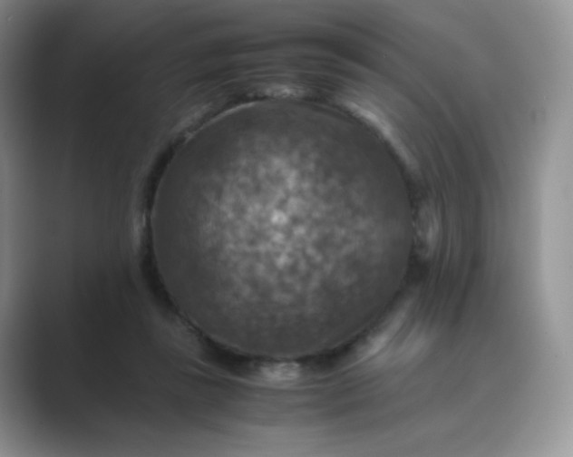 X0000089690355200707051629