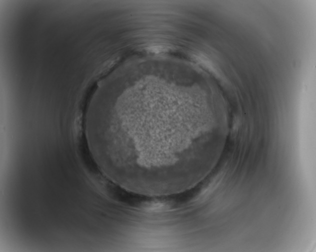 X0000089690356200707051629