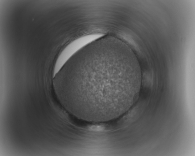 X0000089690358200707051629