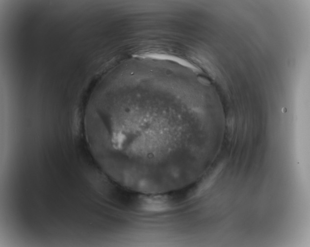 X0000089690359200707051629